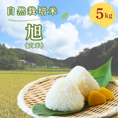 R8度産先予約 自然栽培米 旭(玄米)5kg | ご飯白米 豊後高田市