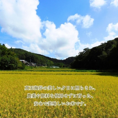 R7年産 自然栽培米 旭(玄米)5kg | ご飯白米 豊後高田市