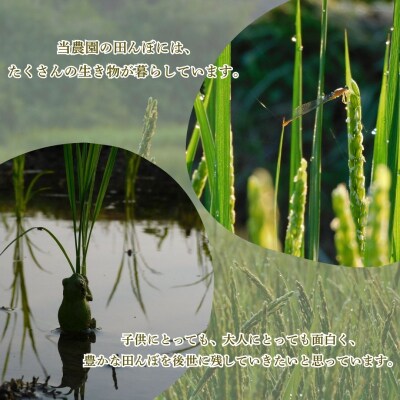 R7年産 自然栽培米 旭(玄米)5kg | ご飯白米 豊後高田市