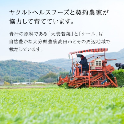 【青汁】 青汁すっきり仕立て 私の青汁 ヤクルトの国産ケール青汁 各1箱 | 健康青汁 毎日青汁