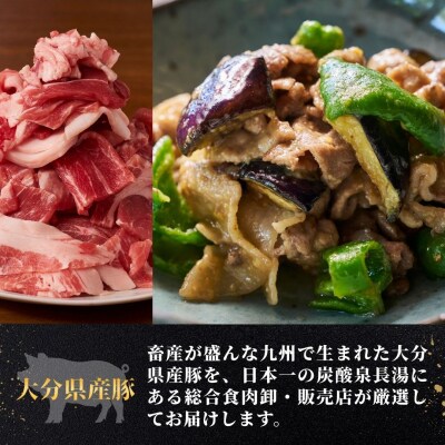 【スピード発送】 豚肉切り落とし 計3kg (500×6袋) 小分け 便利 使いやすい 大容量 肉