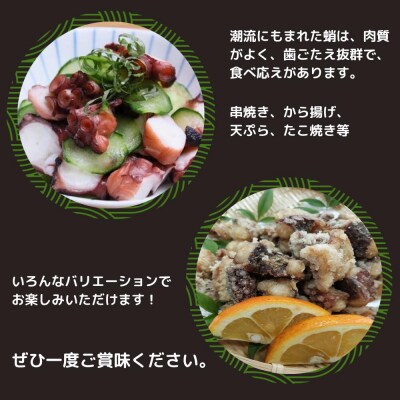 修福丸 真だこ・甲イカ ブツ切りセット(200g×各2袋)タコ イカ 海鮮 たこ いか