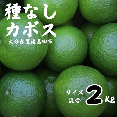【かぼす】 種なしカボス2kg(サイズ混合) かぼす カボス 柑橘 調味料 香酸柑橘