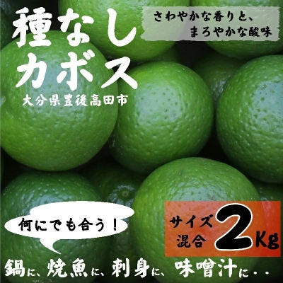 【かぼす】 種なしカボス2kg(サイズ混合) かぼす カボス 柑橘 調味料 香酸柑橘