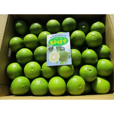 【かぼす】 種なしカボス4kg(サイズ混合) かぼす カボス 香酸柑橘 柑橘 調味料 たねなしかぼす