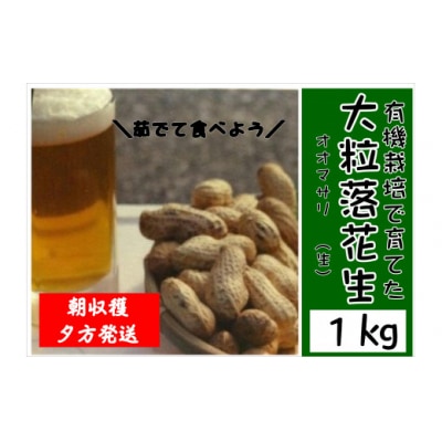 【先行予約】大粒落花生1kg おおまさり 落花生 おつまみ