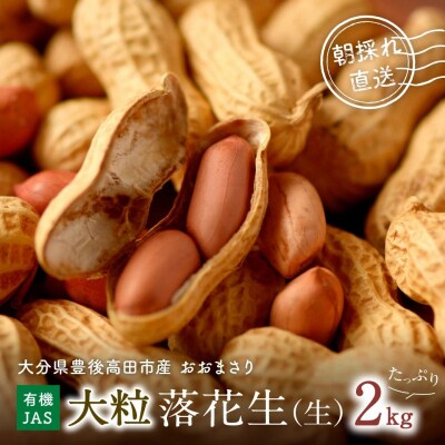 【先行予約】大粒落花生2kg おおまさり 落花生 おつまみ