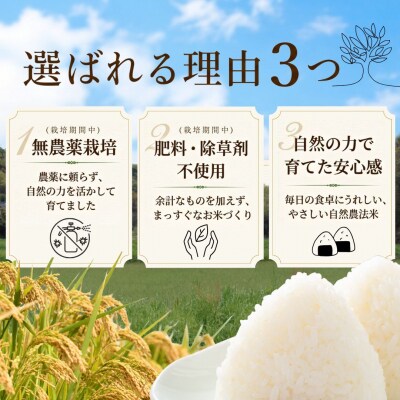 【大分県産】 自然農法 白米 5kg