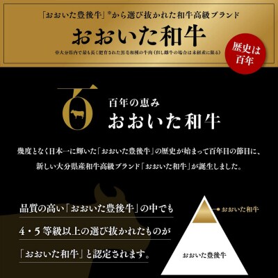 おおいた和牛サーロインステーキ (200g×2枚)