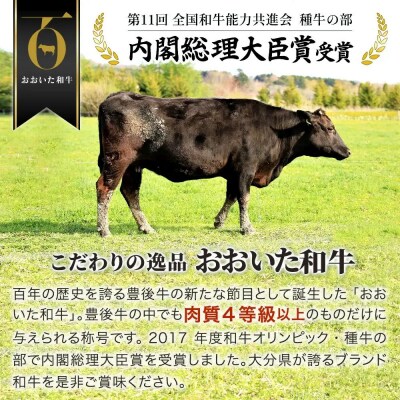 おおいた和牛サーロインステーキ (200g×6枚)