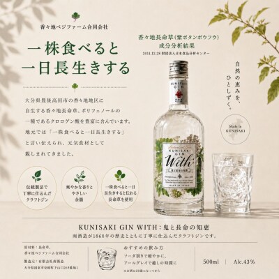 薬草クラフトジン With:鬼と長命の知恵 43度 500ml×6本