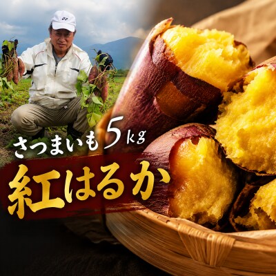 さつまいも 5kg (紅はるか)