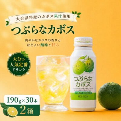 つぶらなかぼす(190ml×30本) 2ケース | かぼすジュース 柑橘系