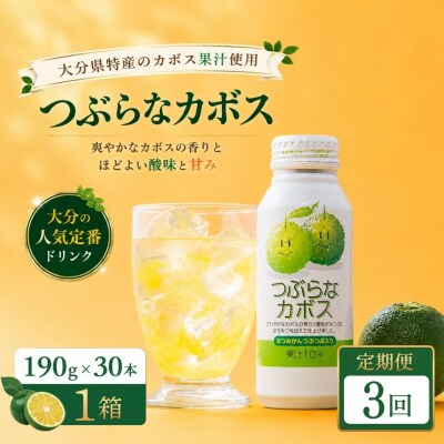 【3ヶ月定期便】つぶらなかぼす(190ml×30本) 1ケース 計3回