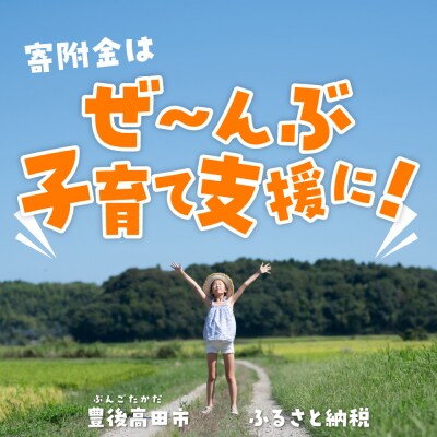 ふるさと納税で子育て支援! (一口 1,500円)【返礼品なし・賛同型寄付】 豊後高田市