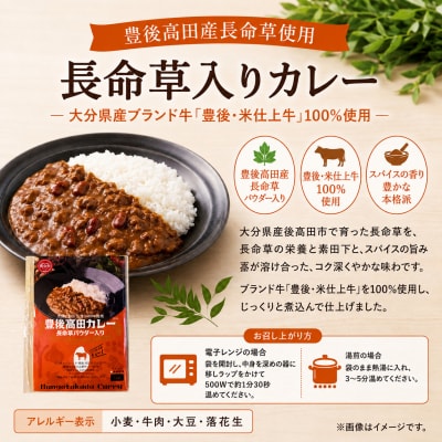 大分素材の健康レトルトカレーと白ネギピクルスセット レトルトカレーセット 湯煎・電子レンジ対応