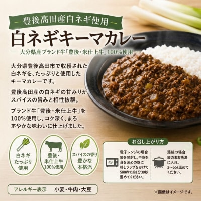 大分素材の健康レトルトカレーと白ネギピクルスセット レトルトカレーセット 湯煎・電子レンジ対応