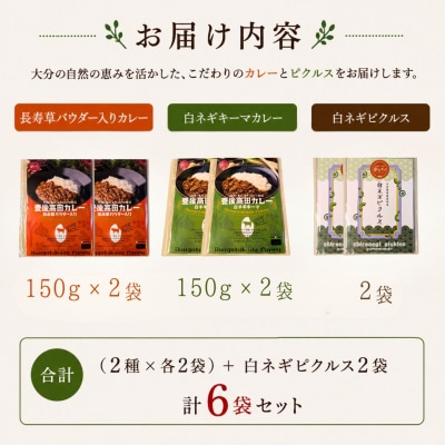 大分素材の健康レトルトカレーと白ネギピクルスセット レトルトカレーセット 湯煎・電子レンジ対応