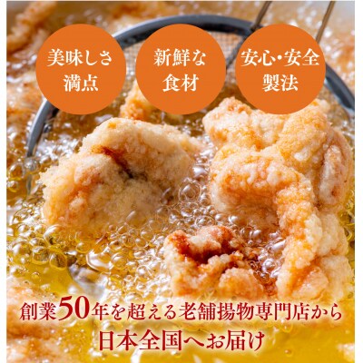 唐揚げ 【R9年2月配送】 大分からあげ 骨なし 500g | 唐揚げ 揚げ物 お弁当 鶏肉