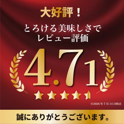 おおいた和牛 もも生ハム 1kg (50g×20P) 生ハム おつまみ 黒毛和牛 牛