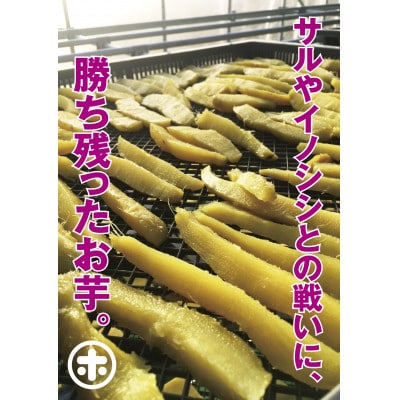 法市のぽちいもセット