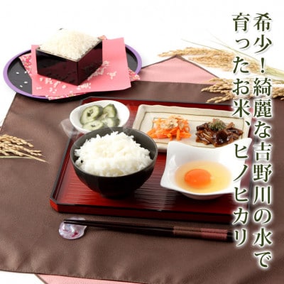 令和5年東みよし町産　検査格付一等米ヒノヒカリ　精米　美肌米1.5kg×3