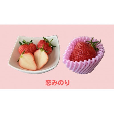 贈答用　化粧箱(小)2箱セット　『甘い大粒うえだ農園のイチゴ』【恋みのり】6L×10玉