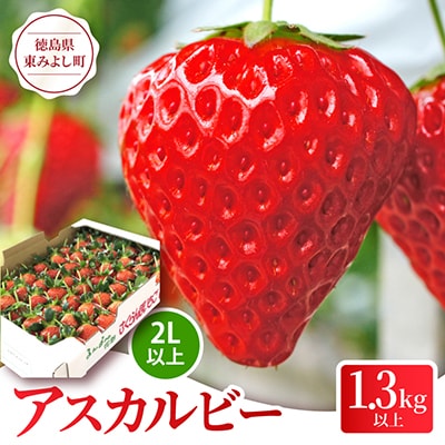 1度試したら2度食べたくなるイチゴ「アスカルビー(2L以上)」