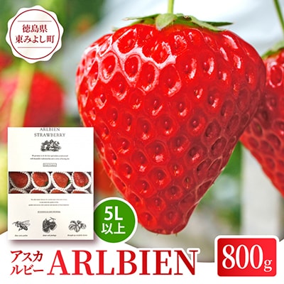 【アスカルビー】ARLBIEN(大箱)大玉(5L以上)