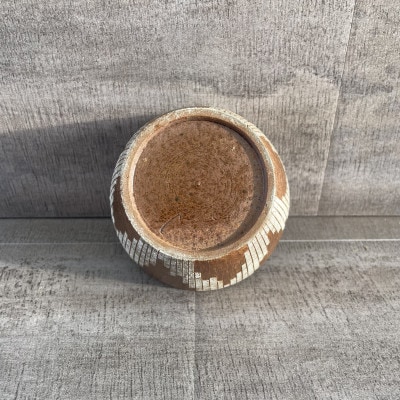 そばちょこ 計1個 徳島県産