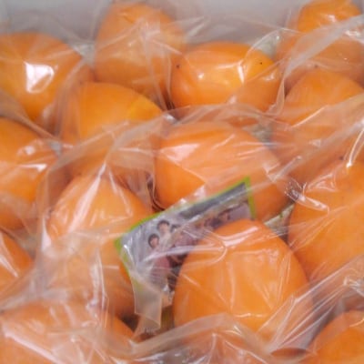 山田農園の愛宕柿　5kg