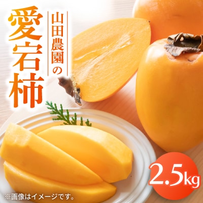 山田農園の愛宕柿　2.5kg