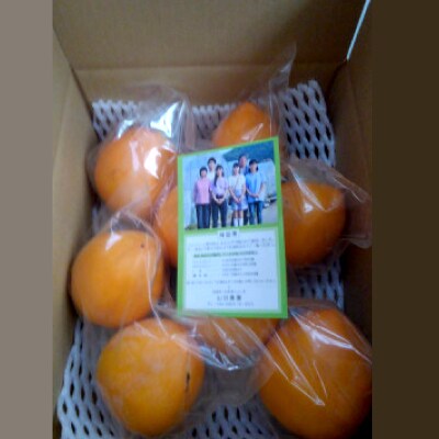 山田農園の愛宕柿　2.5kg