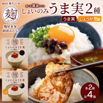 しょいのみ 2種セット うま実 しょうが味 各2箱 計4箱 発酵食品 徳島県 東みよし町