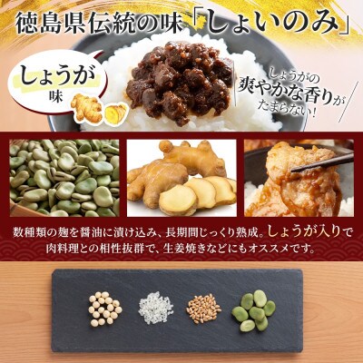 しょいのみ 2種セット うま実 しょうが味 各2箱 計4箱 発酵食品 徳島県 東みよし町