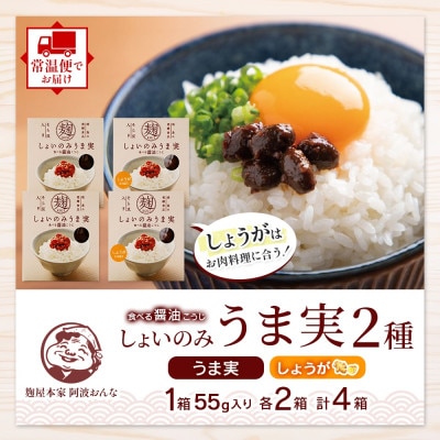 しょいのみ 2種セット うま実 しょうが味 各2箱 計4箱 発酵食品 徳島県 東みよし町