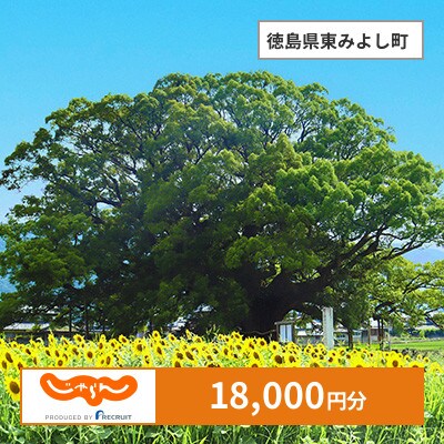 【じゃらんふるさと納税クーポン】 徳島県東みよし町でつかえる18,000円 クーポン