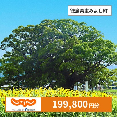 【じゃらんふるさと納税クーポン】 徳島県東みよし町でつかえる199,800円 クーポン