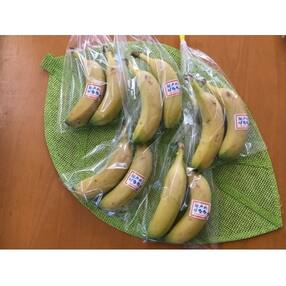 岡山県笠岡市 果物 フルーツ 人気お礼品ランキング 週間 ふるさと納税サイト さとふる 岡山県笠岡市 果物 フルーツ 人気お礼品ランキング 週間 ふるさと納税サイト さとふる