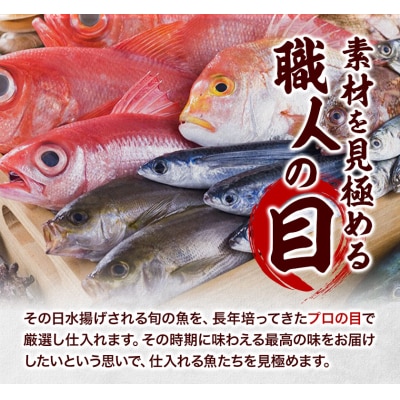 真鯛の熟成干物セット　A-03a