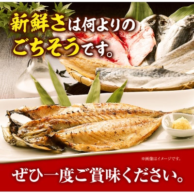 真鯛の熟成干物セット　A-03a