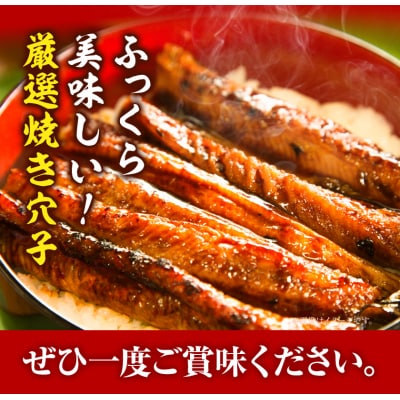 焼き穴子(A-06a)
