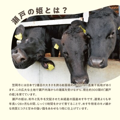 瀬戸の姫(スライス)300g　A-10a