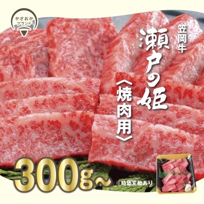 瀬戸の姫(焼肉用)300g　A-09a