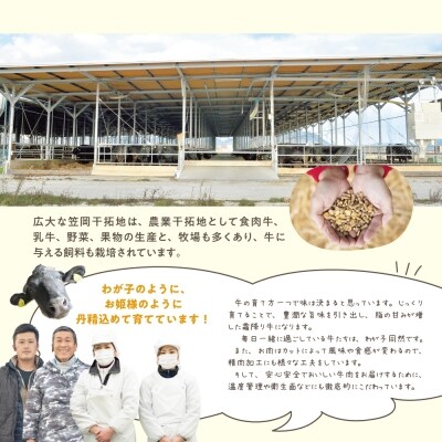 瀬戸の姫(焼肉用)300g　A-09a