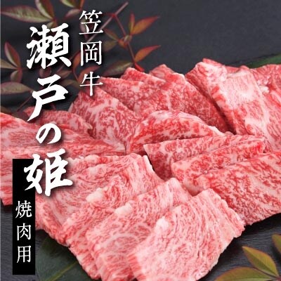 瀬戸の姫(焼肉用)　B-07