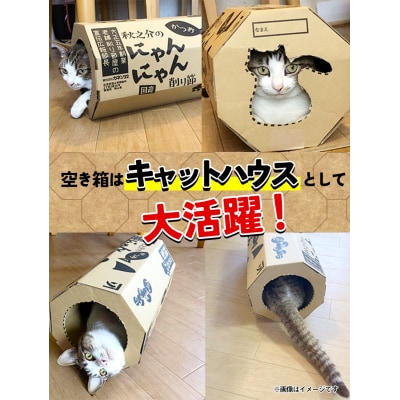 秋之介のにゃんにゃん削り節(2ケース)　B-22