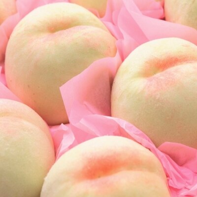 ご家庭用 おかやまの白桃 1.0kg 4〜5玉(予約受付:7月上旬から発送開始予定)