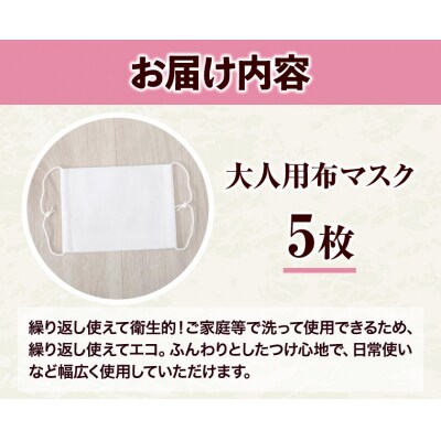ふんわりやわらか布マスク　大人用　5枚セット