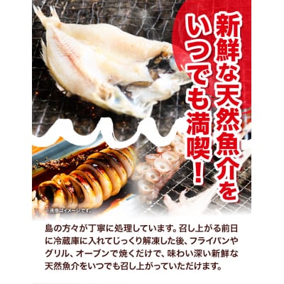 魚々干　今日の漁りセット(Bセット)　A-136